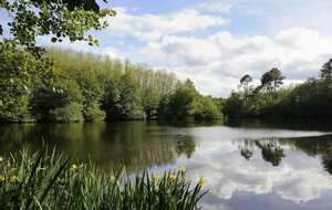 Direction Ermenonville