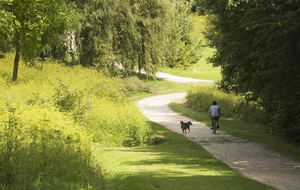 Direction Forêt de Bondy
